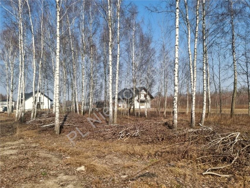 Zdjęcie 2