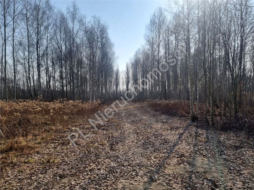 Działka budowlana Dobczyn