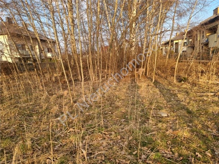Zdjęcie 2