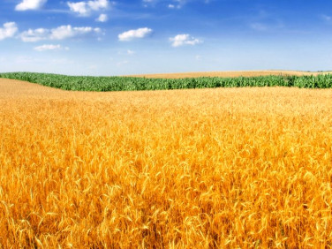 Działka usługowa Środa Wielkopolska