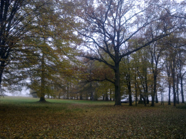 Działka inwestycyjna Skorki