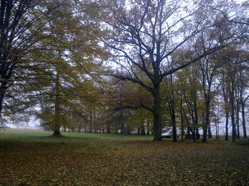 Działka inwestycyjna Skorki