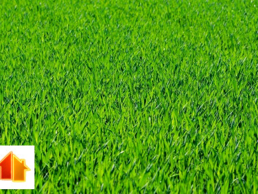 Działka przemysłowa Żory sprzedam