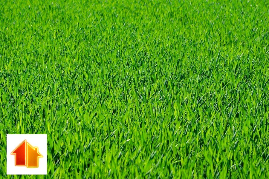 Działka przemysłowa Żory sprzedam