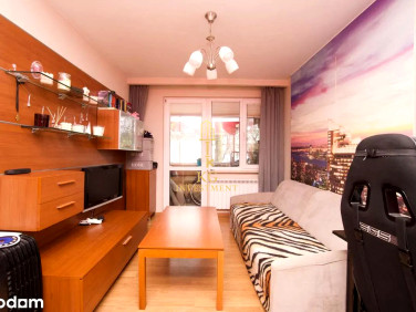 Mieszkanie Kraków wynajem