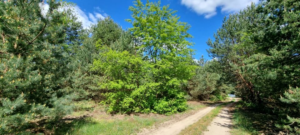 Działka budowlana Kania Nowa