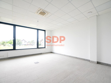 Lokal Kuklice wynajem