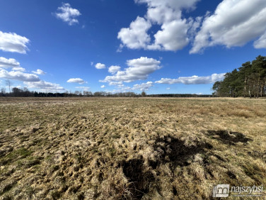 Działka rolna Grzepnica