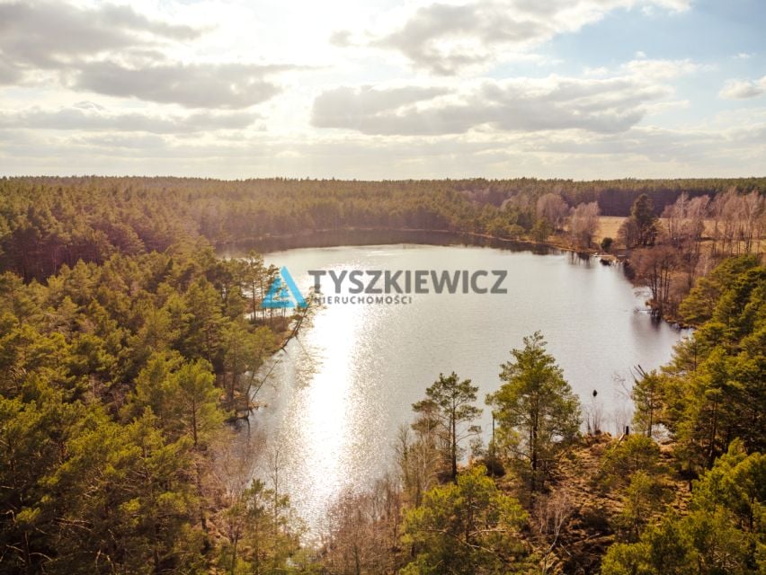 Zdjęcie 3