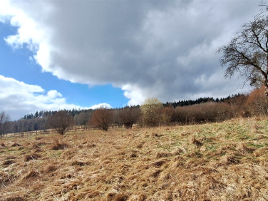 Działka Chocieszów