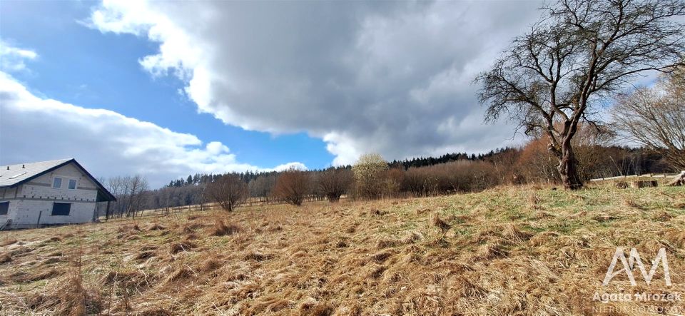 Działka Chocieszów