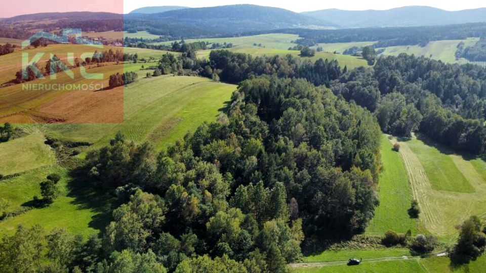 Działka Smerekowiec