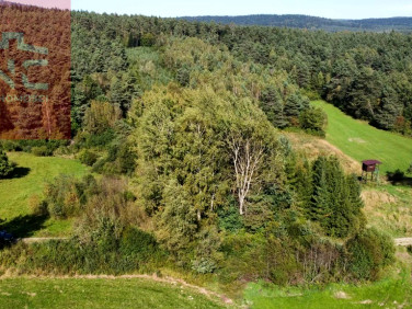 Działka leśna sprzedam