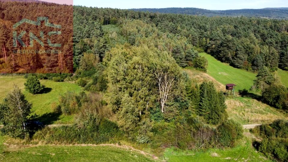 Działka leśna sprzedam