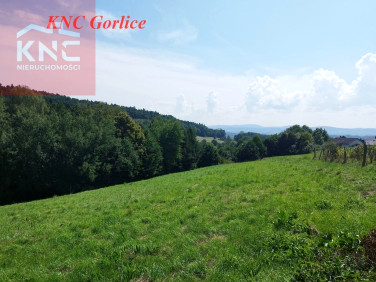 Działka rolna Zagórzany