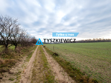 Działka Pierwoszyno