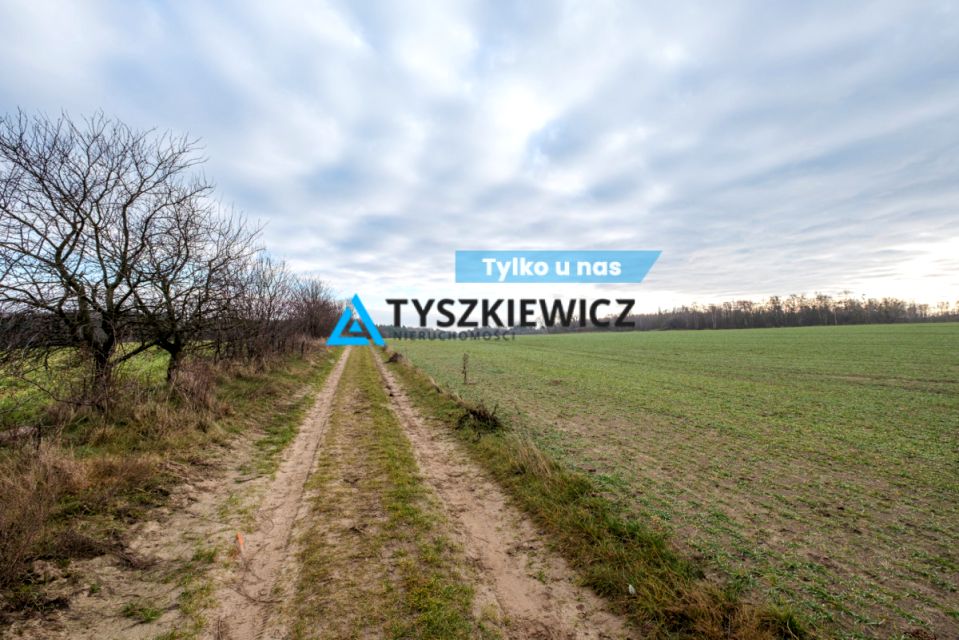 Działka Pierwoszyno