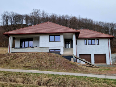 Dom wolnostojący sprzedaż