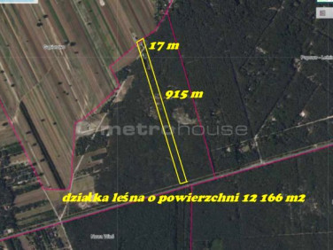 Działka leśna Łacha