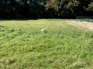 Działka budowlana Zawonia