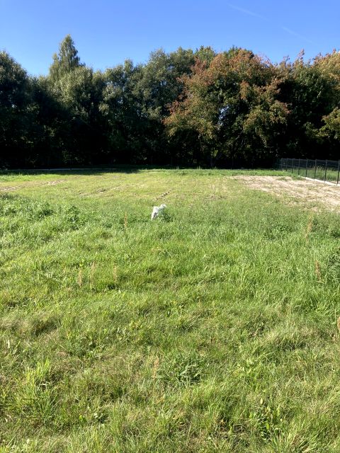 Działka budowlana Zawonia