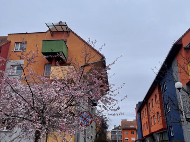 Mieszkanie blok mieszkalny Wrocław