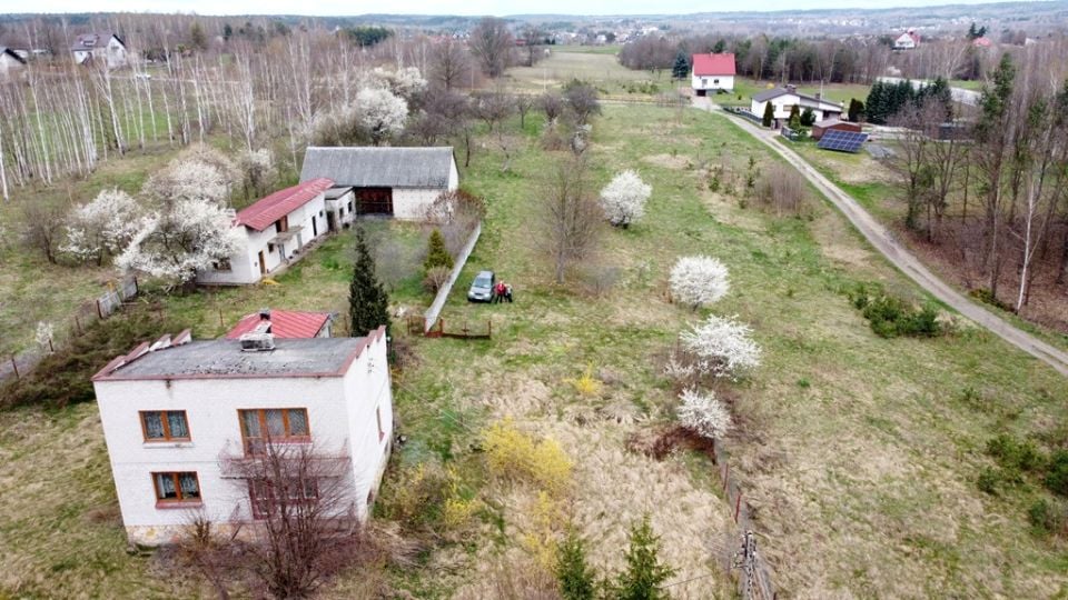 Zdjęcie 3