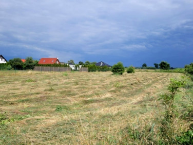 Działka rolna Lubczyna