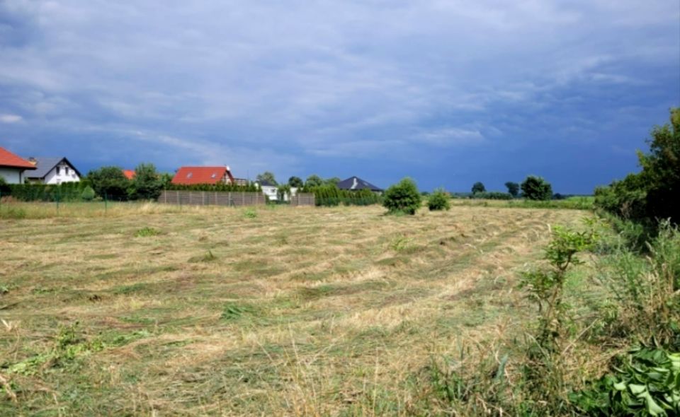 Działka rolna Lubczyna
