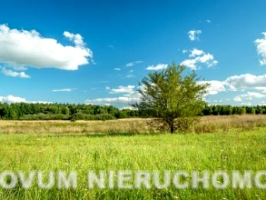 Działka inwestycyjna Tarnowskie Góry