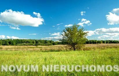 Działka inwestycyjna Tarnowskie Góry