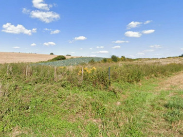 Działka siedliskowa Konopnica sprzedam