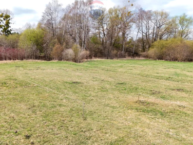 Działka Budy Zosine