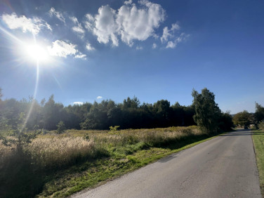 Działka rolna Brzoskwinia