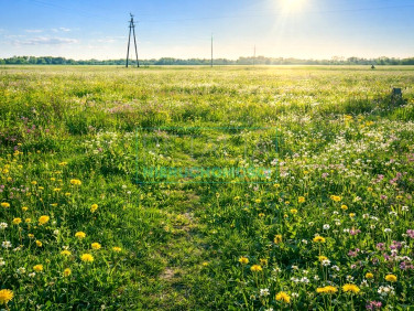 Działka budowlana Chyliczki