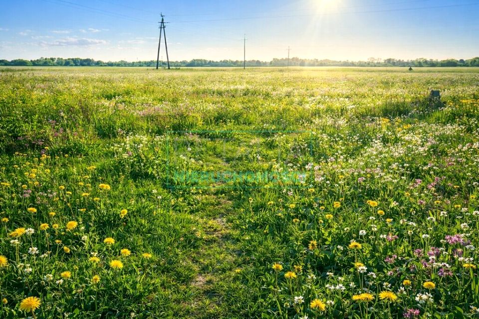 Działka budowlana Chyliczki