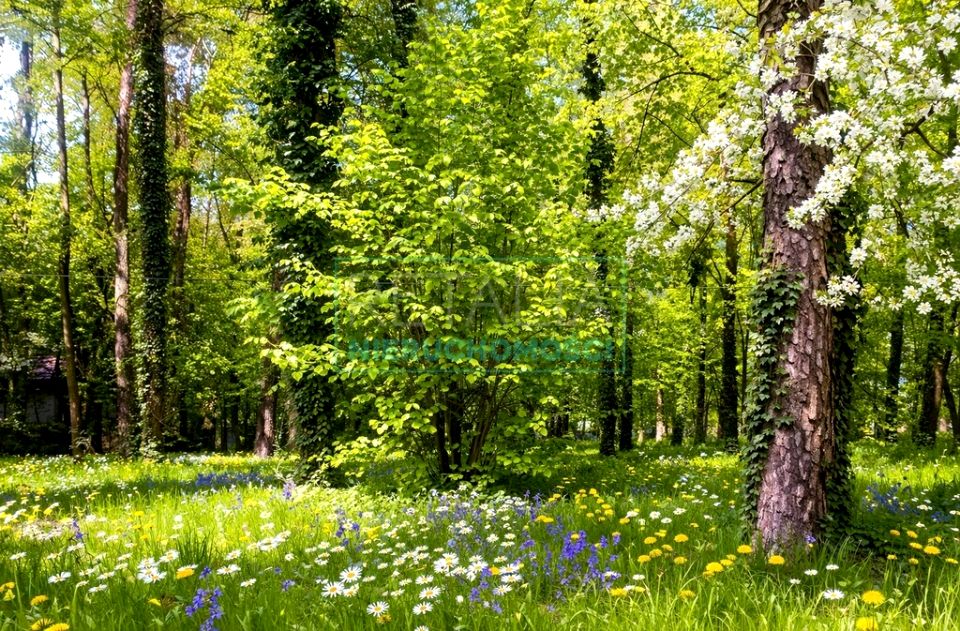 Działka budowlana Podkowa Leśna