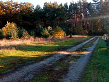 Działka budowlana Bogusławki