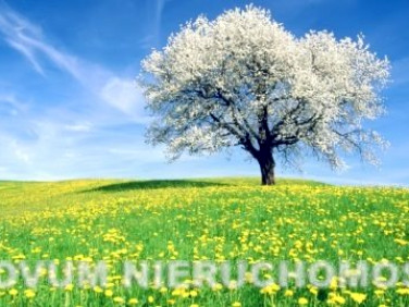 Działka budowlana Nakło Śląskie