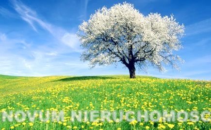 Działka budowlana Nakło Śląskie