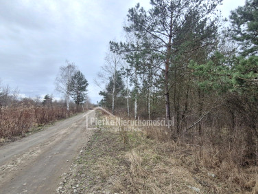 Działka budowlana Skierdy