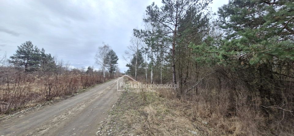 Działka budowlana Skierdy