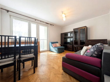 Mieszkanie Petrykozy