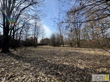 Działka budowlano-rolna Dołęga