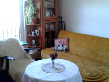 Mieszkanie przy lesie