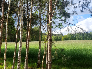 Działka budowlana Piotrków Trybunalski