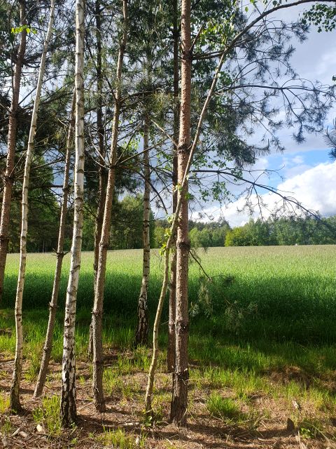 Działka budowlana Piotrków Trybunalski