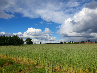 Działka budowlana Piotrków Trybunalski sprzedam