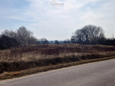 Działka inna Miączyn