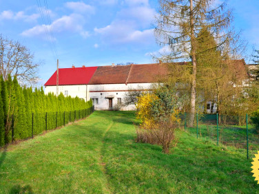 Mieszkanie Miękinia